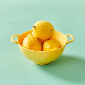 [MODERN HOUSE 중계점] 레몬코스타 멜라민 채반 옐로 PL0125090, 1개
