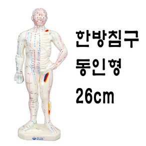 wy 남자동인형 26cm 침구모형 경혈동인형, 1개