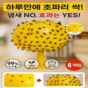 베뉴 노란 초파리 끈끈이 날파리 트랩, 1개, 6개입