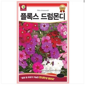 플록스 300립 꽃잔디씨앗 종자 꽃밭 혼합종 드럼불꽃 Phlox dummondii, 1개