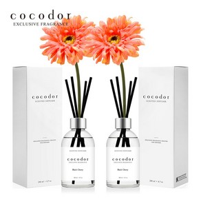 코코도르 화이트라벨 디퓨저 200ml X 2개 + 거베라 조화 2P, 002_거베라/리빙코랄X2, 04_W/너의비누향X2