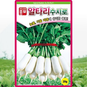 솔림텃밭몰 알타리무씨앗 20g 수시로알타리 사계절 수시로 가능, 1개