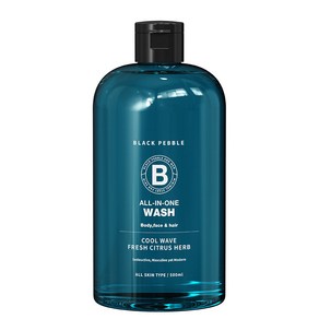 블랙페블 올인원 워시 쿨 웨이브 500ml, 1개, 500g