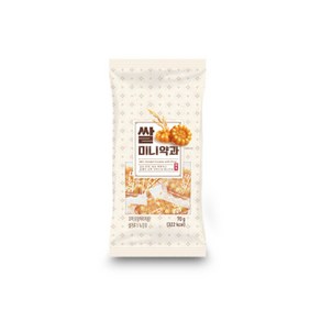 동화 쌀미니약과 70gx10개 (1통) 1통, 70g, 40개