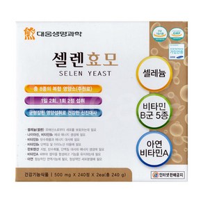 대웅생명과학 셀렌효모 500mg 4개월분, 240정, 2개