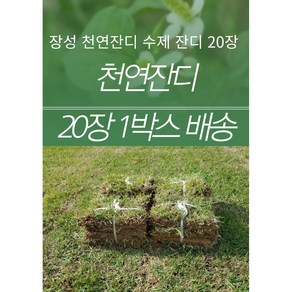 서경농원 천연잔디 18cm x 25장 묶음 한국잔디 중지, 25개