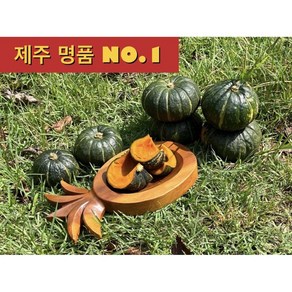 <제주빛가람> 제주 미니 밤호박 보우짱 3kg 1박스