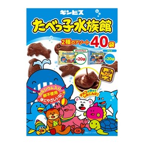 긴비스 타벳코 수족관 초코 비스킷 과자, 40개, 25g