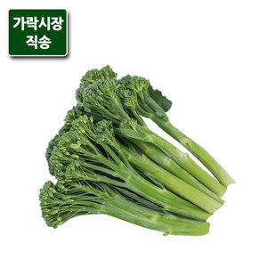 가락시장직송 브로콜리니 200g, 없음, 1개