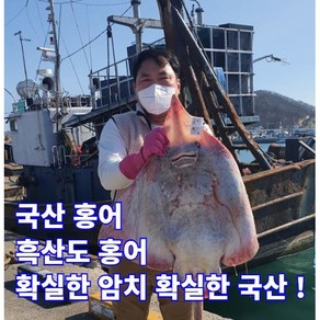 100% 국산 암치 홍어 흑산도 홍어 500G 1KG 삼합 혼술 제철 삭힌홍어 회 무침 택배 진품, 국어 홍어 250G, 약한 숙성, 1개