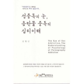 성중독의 눈 음란물 중독의 심리이해, 서울중독심리연구소, 김형근 저