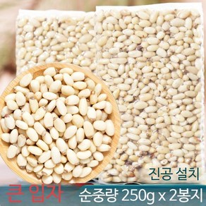 햇잣 알이 통통한 야생잣 잣나무 중국산 백두산 500g