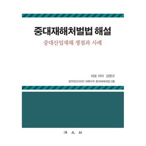 중대재해처벌법 해설 : 중대산업재해 쟁점과 사례, 김영규 저, 법문사