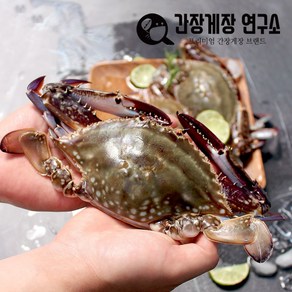 냉동꽃게 급냉 제철 꽃게 선동 숫꽃게 암꽃게 택배 국내산, 국내산 암꽃게 1kg (소), 1개