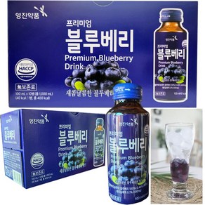 영진약품 프리미엄 블루베리 100ml