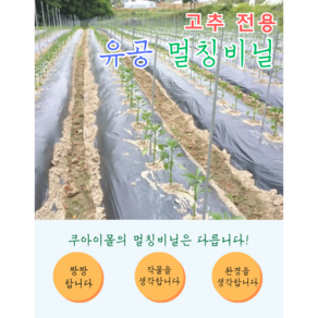 고추 전용 유공 구멍 뚫린 멀칭 비닐, 0.02Tx100x500 1줄배색1구 간격45, 1개
