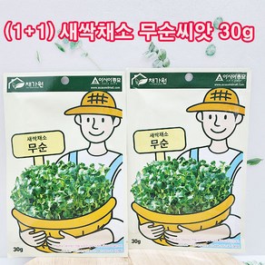 (샤인몰) 1+1 아시아종묘/새싹씨앗 무순씨앗 30g 2개 /새싹채소