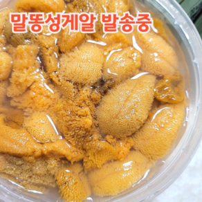 국산 프리미엄 생물 급냉 보라 성게알 우니 100g 200g 500g