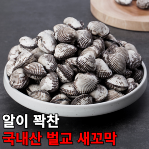 큰바다 국내산 조업한 제철 남해안 여수 벌교 새꼬막, 1개, 왕대2kg