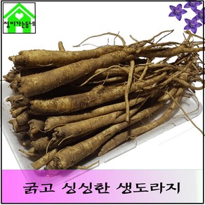 국내산 도라지 흙도라지 생도라지 (굵음) 1Kg, 1개