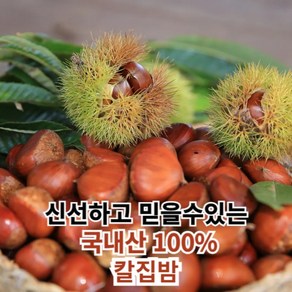 [2024년햇밤] 햇 생 밤 국산 순창 깐밤 칼집 깐 알밤 옥광밤 대 특대, 1박스, 10kg