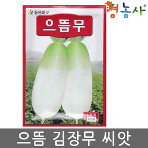 영농사 으뜸무 600립 무우 무 씨앗 고랭지 김장무 종자