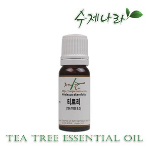 수제나라 티트리 천연아로마 자연의숲, 10ml, 1개