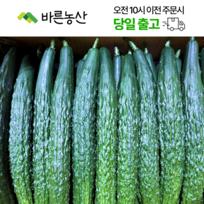 < 바른농산 > 국내산 오이 가시오이 청오이 특품, 1개, 3kg