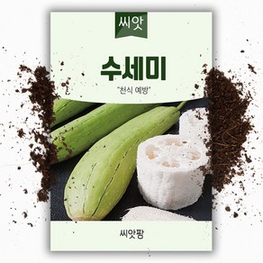 수세미씨앗 (10립)