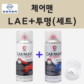 쌍용 체어맨 LAE 클래식블랙 스프레이 페인트 + 투명스프레이, 1개