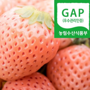 신데렐라딸기 흰딸기 GAP인증 당도1등딸기 선물용, 1박스, 700g(특 12-16과)