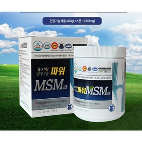 식이유황 MSM 파워 분말형 400 유황닷컴, 400g, 1개