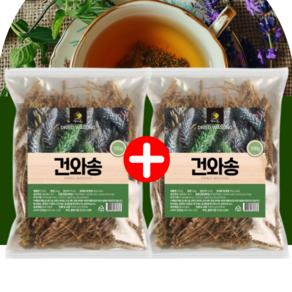 엄마애손 건조 말린 와송 건와송 100g 2팩 총 200g, 1세트