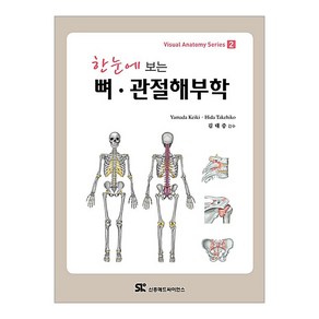 한눈에 보는 뼈 관절해부학