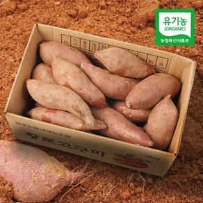 친환경팔도 유기농 달수고구마(왕), 1박스, (왕)10kg