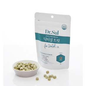 닥터설 트릿 덴탈 100g (프레시탭), 대성유통쿠팡 본상품선택, 1개