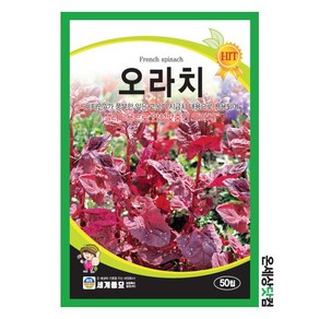 맛깔백다다기 50립 / 오이씨앗 오이씨 베란다텃밭 오이종자, 1개