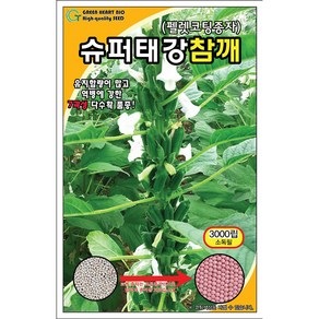 슈퍼태강참깨 코팅 씨앗 3000립 외대깨+서비스상추씨앗증정, 1개
