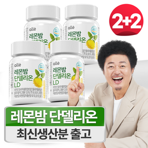 민들레 추출물 레몬밤 1200 단델리온 알레 600mg x 60정, 4개