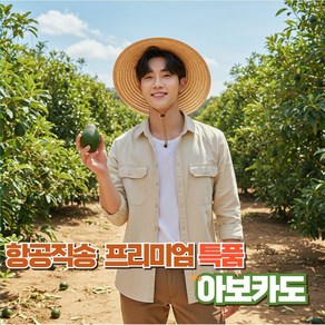 [밭 그대] 항공직송 아보카도 프리미엄 특상품 중과 대과, 1박스, 아보카도중과10입