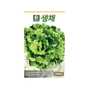 (DN) 다농생채상추 씨앗(2000립), 1개