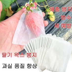 딸기 왁스 봉지 50개/100개/200개 반투명 상태 해충 방지 방수 새 방지 과실 품질 향상 딸기 부패 방지 증산, 50개