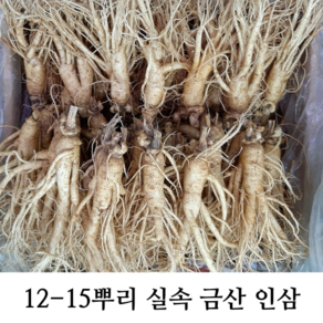 실속형 가정용5년근 인삼 12-15뿌리 (오쿠용 홍삼용 실속인삼), 가정용난발삼 350g (6-8뿌리), 1개