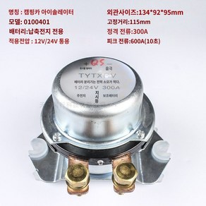 캠핑카 주행 충전기 300A 납산 100A 12V 24V DX0100041, B. 300A납축전지전용0100401, 1개