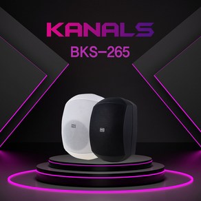 카날스 BKS-265 200W 방수 앰프 스피커 2개 1조, 블랙