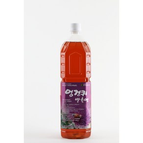 엉겅퀴발효액3년산1500ml, 1.5L, 1개