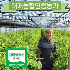 대저 김순용 농부 짭짤이 토마토 2.5kg 산지직송, 대저토마토(L과)2.5kg, 1개