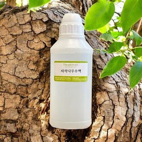 [더위치] 자작나무수액 500ml Betula Platyphylla Japonica Juice, 1개