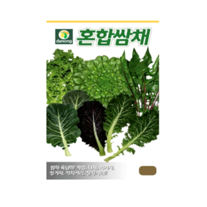 혼합쌈채 모듬씨앗 실내재배 쌈채소, 1개