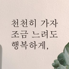 모노먼트 한글 감성 레터링 스티커 - 천천히 가자 조금 느려도 행복하게, 연핑크